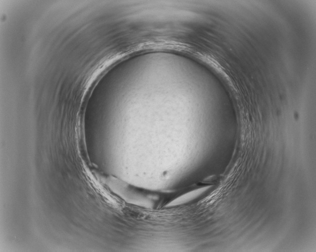 X0000053051040200507251418