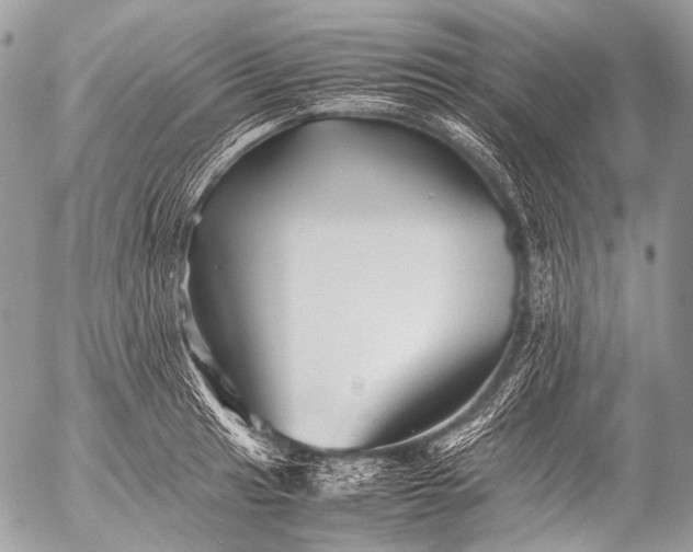 X0000053051041200507251418