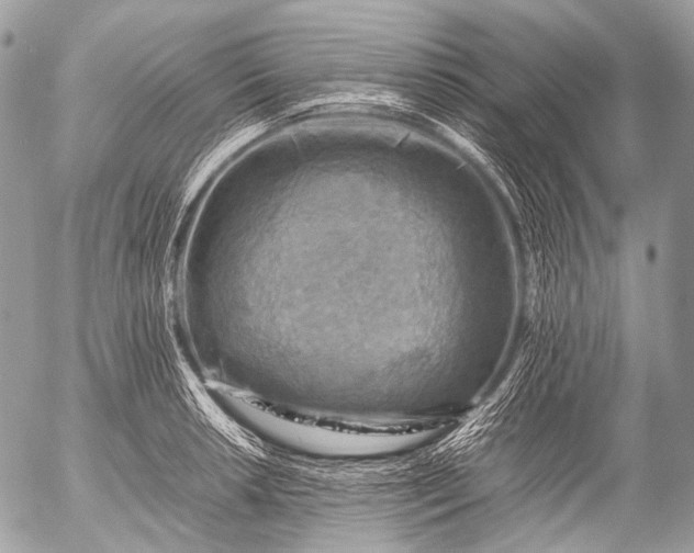 X0000053051042200507251418