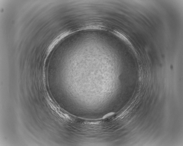 X0000053051043200507251418