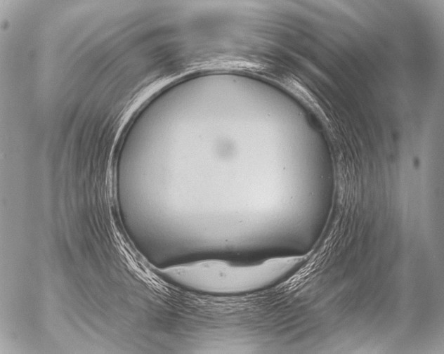 X0000053051044200507251418