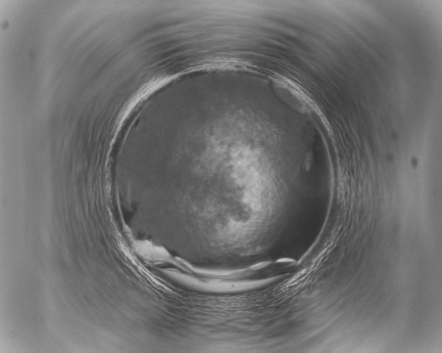 X0000053051045200507251418