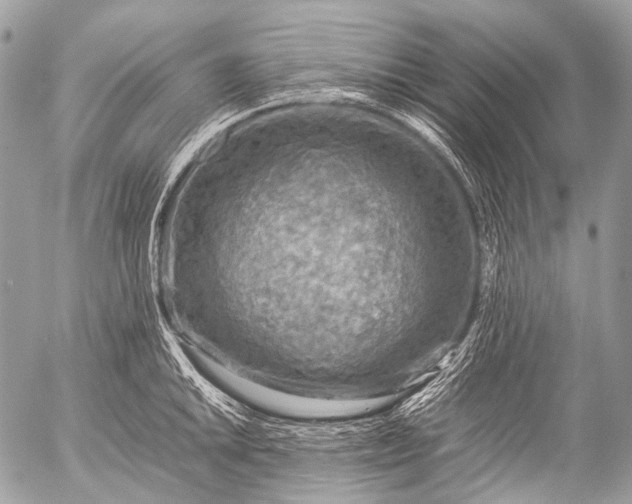 X0000053051046200507251418