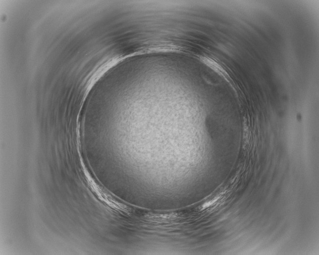 X0000053051047200507251418