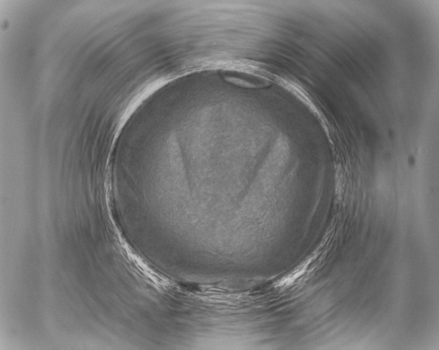 X0000053051048200507251418