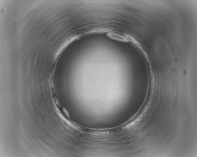 X0000053051049200507251418