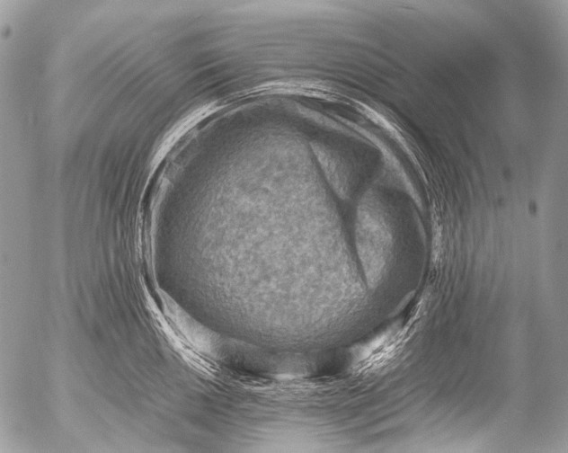 X0000053051050200507251418