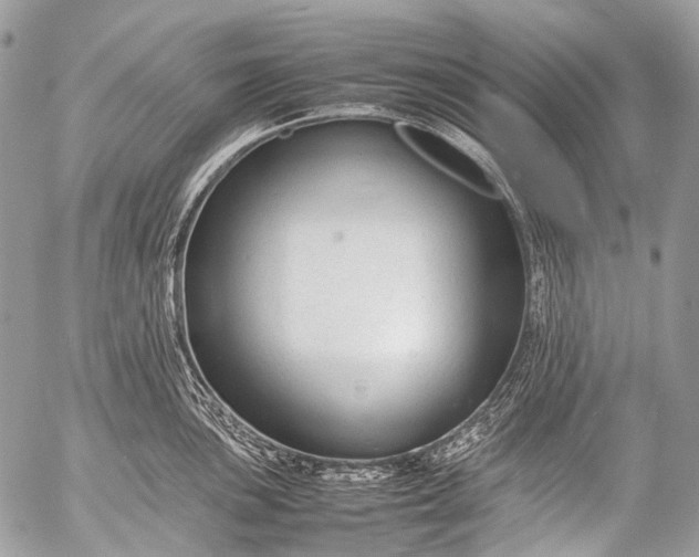 X0000053051051200507251418