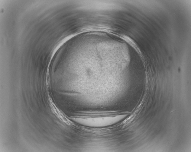 X0000053051052200507251418