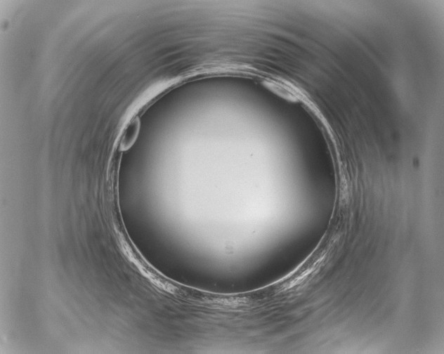 X0000053051053200507251418