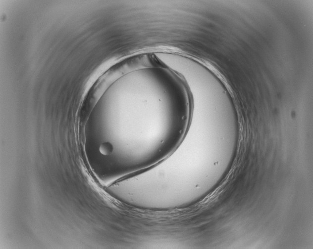 X0000053051054200507251418