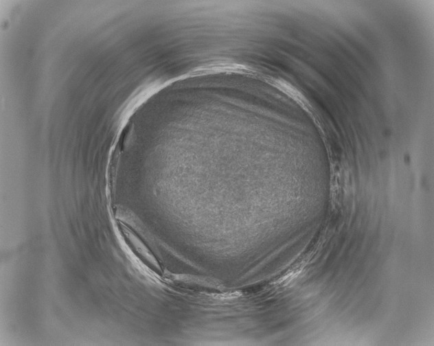 X0000053051055200507251418