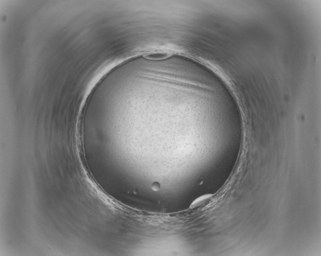 X0000053051056200507251418