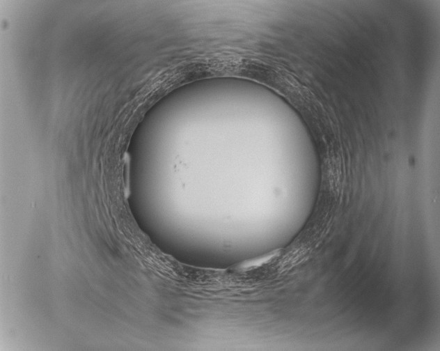 X0000053051057200507251417