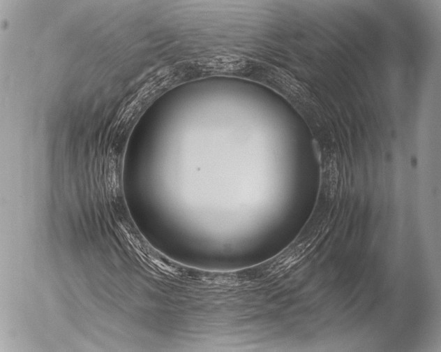 X0000053051058200507251417