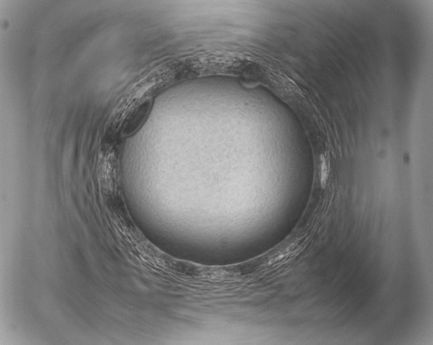 X0000053051059200507251417