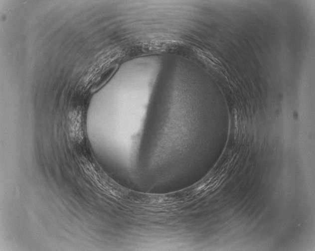 X0000053051060200507251417