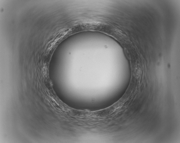 X0000053051061200507251417