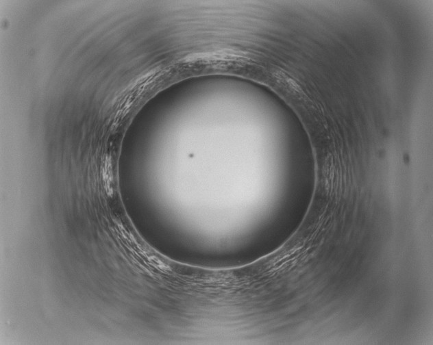 X0000053051062200507251417