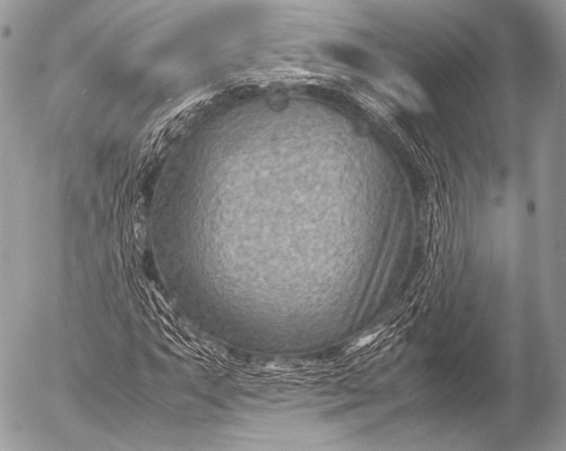 X0000053051063200507251417