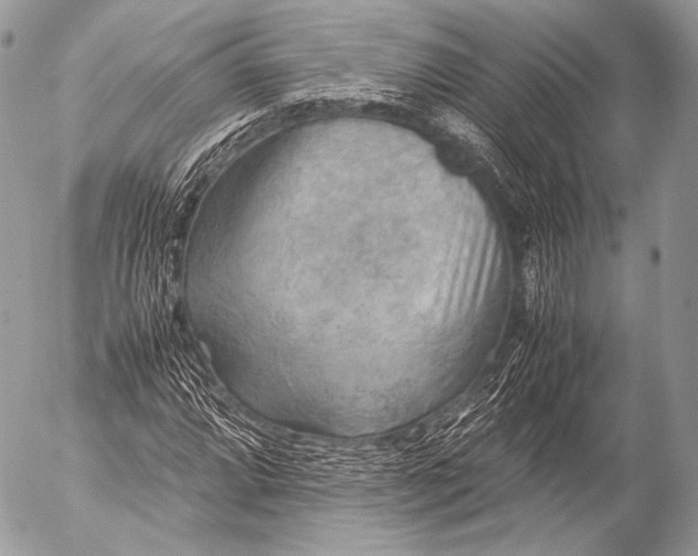 X0000053051064200507251417