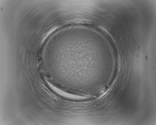 X0000053051065200507251417