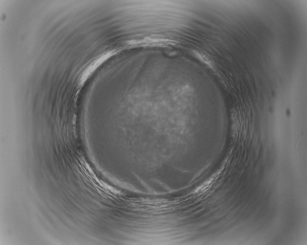 X0000053051066200507251417