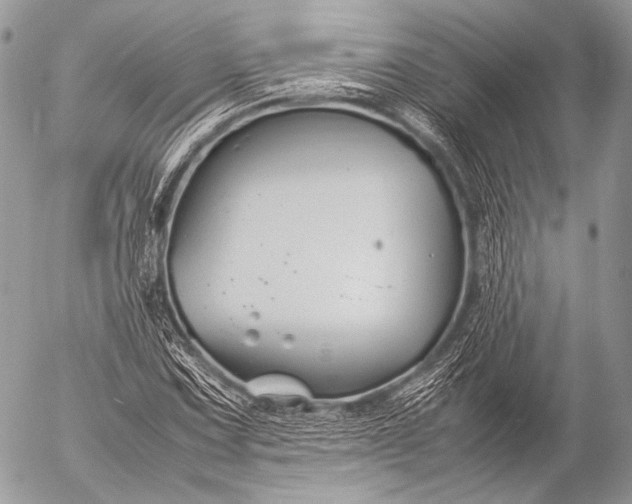 X0000053051067200507251417