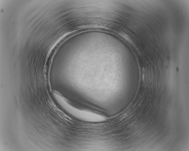 X0000053051068200507251417