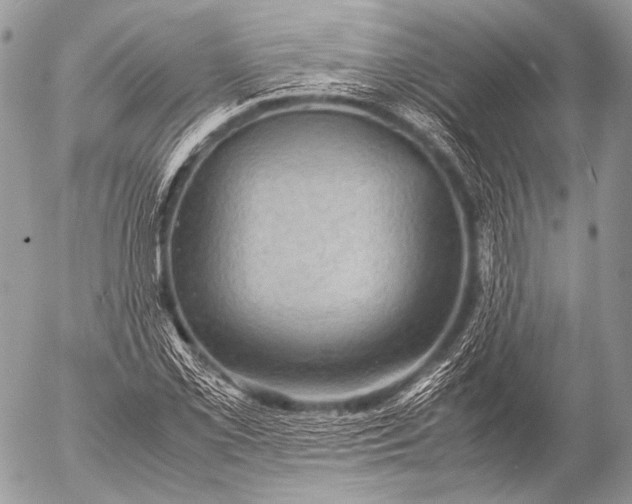 X0000053051069200507251417