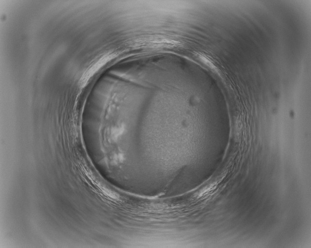 X0000053051071200507251417