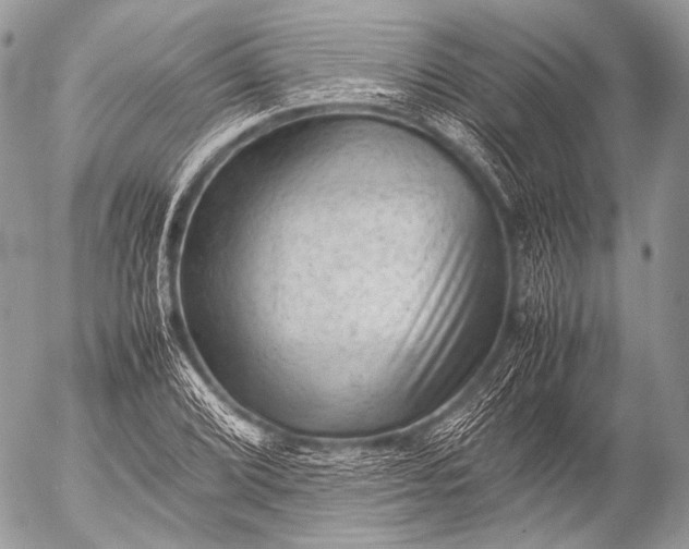 X0000053051072200507251417