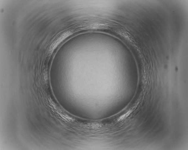 X0000053051073200507251417