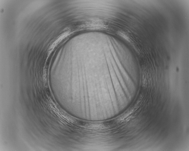 X0000053051074200507251417