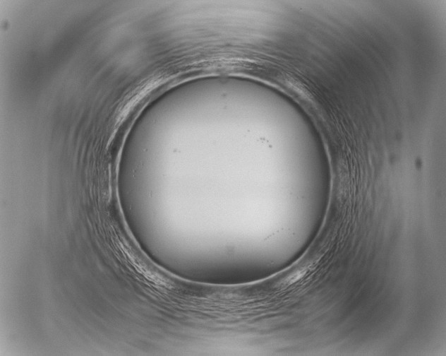 X0000053051075200507251417