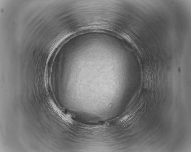 X0000053051076200507251417