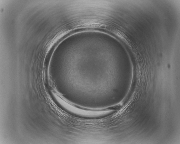 X0000053051077200507251417