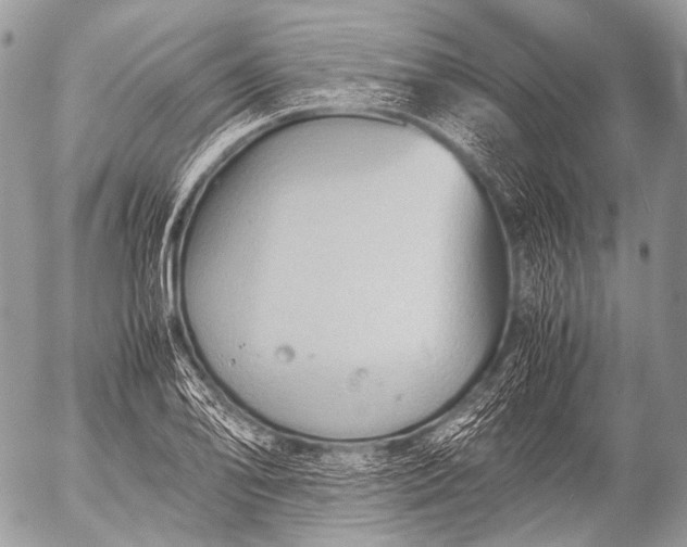 X0000053051078200507251417