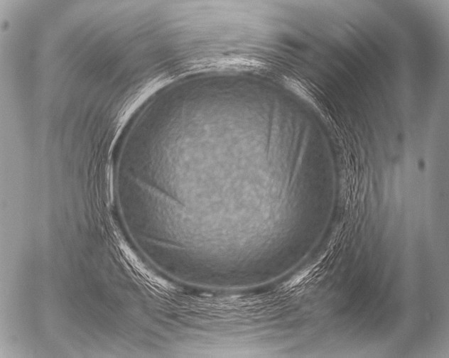 X0000053051079200507251417