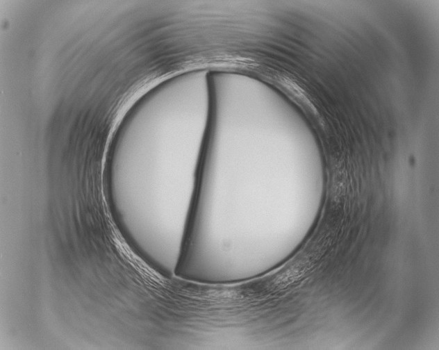 X0000053051080200507251417