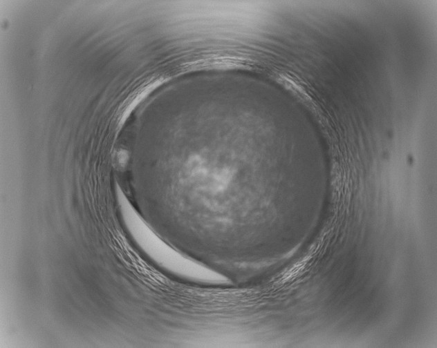 X0000053051081200507251417