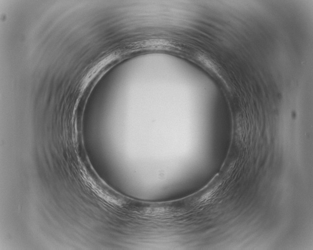 X0000053051082200507251417