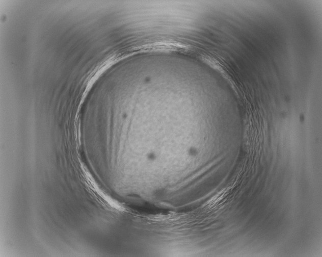 X0000053051083200507251417