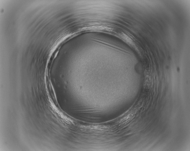 X0000053051084200507251417