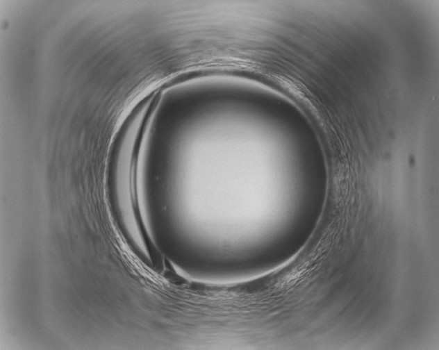 X0000053051085200507251417