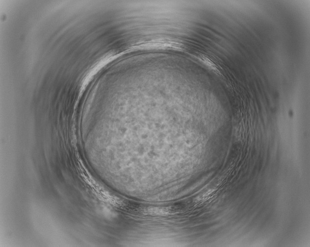 X0000053051086200507251417