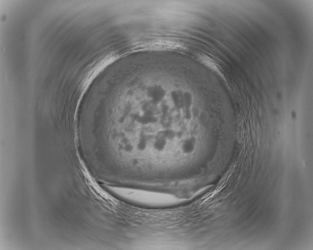 X0000053051087200507251417