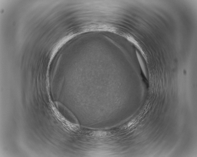 X0000053051088200507251417