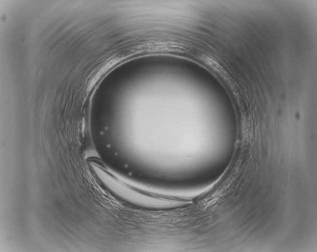 X0000053051089200507251417