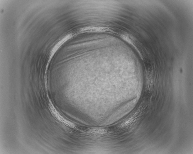 X0000053051090200507251417